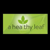 A Healthy Leaf image 8